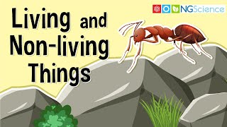 What Are Living and Nonliving Things [upl. by Aicercul]