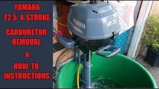 Yamaha F25 4Stroke Outboard  Carburetor Removal and Clean  How To [upl. by Dotti]