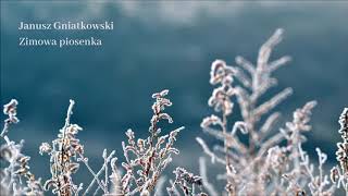 Janusz Gniatkowski  Zimowa piosenka Official Audio [upl. by Niwre]