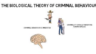 GCSE Psychology Criminal behaviour Biological theory [upl. by Bigelow]