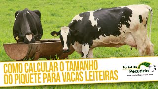 Como calcular o tamanho do piquete para vacas leiteiras [upl. by Hailey]