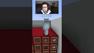 WALLIBEAR TAKES ON MOB ARENA gaming ⁠youtube funny minecraft memes tiktok shorts ytshorts [upl. by Norval509]