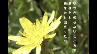 キャンティのうた 「アンデルセン物語1971〜ED曲〜」 [upl. by Wenoa689]