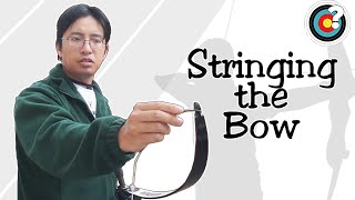 Archery  How to String a Bow [upl. by Hcurab]