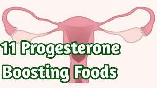 11 Progesterone Boosting Foods that can increase the Hormone Naturally  Sky world  Health Tips [upl. by Kurland]