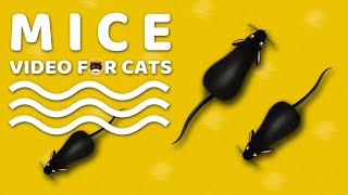 CAT GAMES  Mice Mouse Sounds Video for Cats  CAT amp DOG TV [upl. by Peterman]