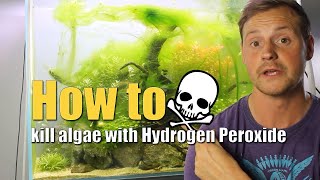 How to kill algae with Hydrogen Peroxide [upl. by Amund]