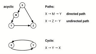 Introduction to Causal Graphs [upl. by Suez702]