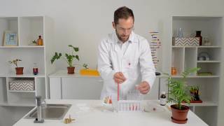 Acid Base Neutralisation Reaction Experiment [upl. by Estren80]