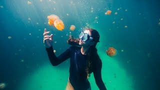 The Most Beautiful Free Diving in the World [upl. by Adnawyt]