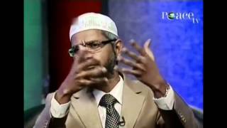 Dr Zakir Naik on Shahrukh Khan [upl. by Hultgren]