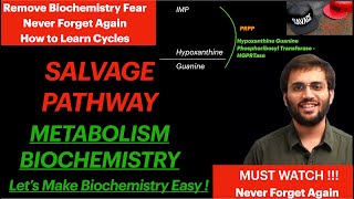 Salvage Pathway  Purine Synthesis Biochemistry Video [upl. by Shell]