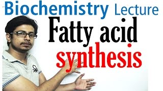 Fatty acid synthesis [upl. by Anala]