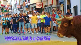 🟢ESPECIAL 01◾ INTEGRO Resumen Bous al Carrer [upl. by Enyalaj541]