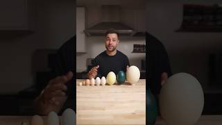 I Cooked the World’s CRAZIEST Eggs [upl. by Mansoor]