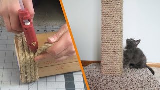 DIY Cat Scratching Post [upl. by Ajim]