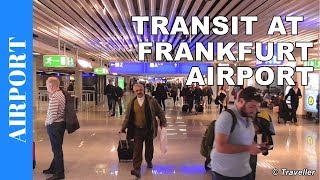 TRANSIT WALK AT FRANKFURT Airport FRA Terminal 1  Connection Flight Transfer Arriving amp Departing [upl. by Ursala]