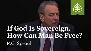 RC Sproul If God Is Sovereign How Can Man Be Free [upl. by Icyak]