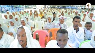 quotJAARTIIKOO FIDIIquot New Afaan Oromo Drama2022 [upl. by Heidi]