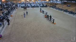 Topeka Livestock Auction Live Stream [upl. by Nosydam]