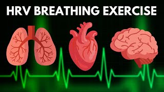 Guided Breath Session  Coherent Breathing  6 Breaths Per Minute [upl. by Drannel]