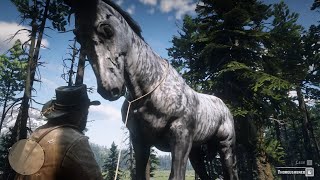 The biggest horse in Red Dead Redemption 2 [upl. by Anniram]