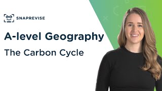 The Carbon Cycle  Alevel Geography  OCR AQA Edexcel [upl. by Runkle]