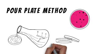 Isolation techniques  Pour plate method [upl. by Loralie]