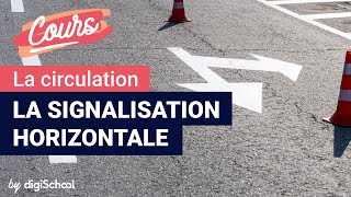 La signalisation horizontale  Code de la route [upl. by Amzu366]