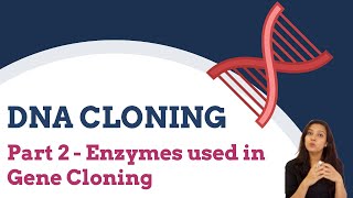 DNA Cloning  Part 2  Enzymes used in Gene Cloning [upl. by Clayborn]