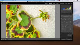 Make your OWN Profiles for Lightroom [upl. by Bonnes]