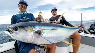 Monster Yellowfin Tuna [upl. by Lyrac186]