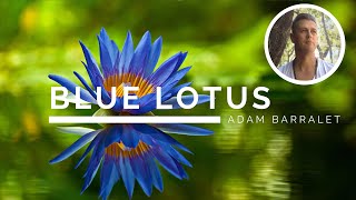 Blue Lotus  The Oil of Ascension [upl. by Shanney]