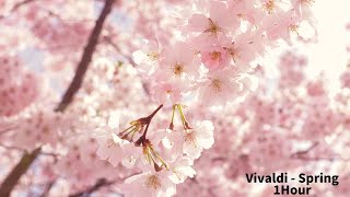 Vivaldi  Four Seasons Spring 1Hour Classic [upl. by Ssew]