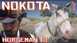 A Wild White Roan Nokota Location For Horseman 10 With Arthur in Red Dead Redemption 2 [upl. by Mulvihill722]