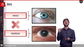 Anatomia e fisiologia dos olhos  Aula SanarFlix [upl. by Ahsayn346]