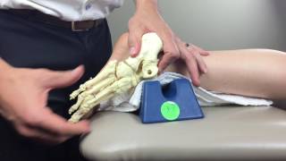 Mid Foot midtarsal Manual Therapy [upl. by Attiuqehs]