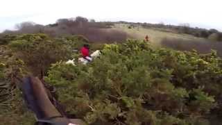 Equestrian Foxhunting in Ireland 2014 Full length Version [upl. by Tess590]