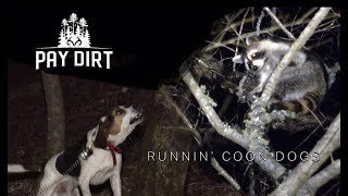 How To Hunting Coons with Dogs [upl. by Yup253]