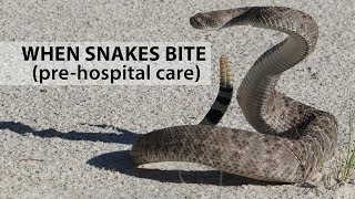 When Snakes Bite PreHospital Care [upl. by Valida846]