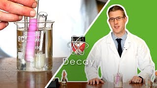 Decay  GCSE Biology Required Practical [upl. by Ogata]