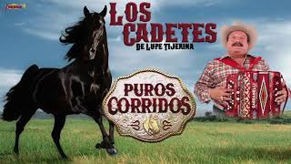 LOS CADETES DE LINARES  PUROS CORRIDOS PLAYLIST OFICIAL [upl. by Adnamar]