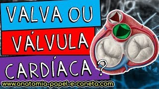 Valvas cardíacas  BICÚSPIDE TRICÚSPIDE MITRAL ÁTRIOVENTRICULAR SEMILUNARES [upl. by Enylrac486]