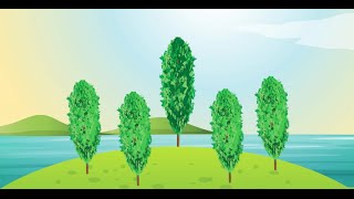 Poplar for Recycled Water Reuse and Phytoremediation [upl. by Dnaleel]