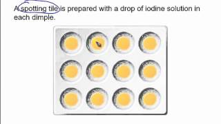 The starch amp amylase experiment [upl. by Steven]