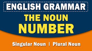 The Noun Number  English Grammar  Learn with examples  Home Revise [upl. by Letnoj622]